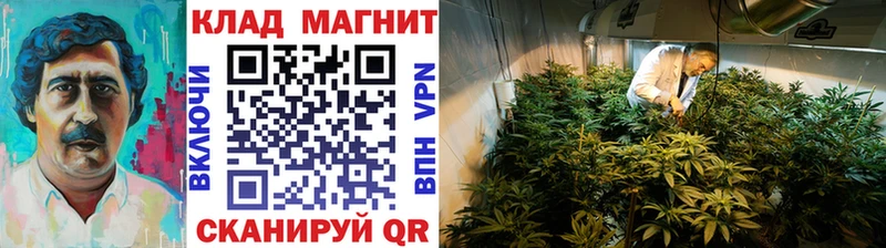 Какие есть наркотики Шали СОЛЬ Кокаин Гашиш Меф Бошки Шишки