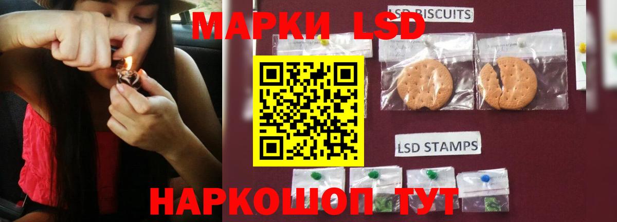 Шали  Лсд 25 экстази ecstasy  Вход с VPN  Лсд 25 экстази ecstasy 