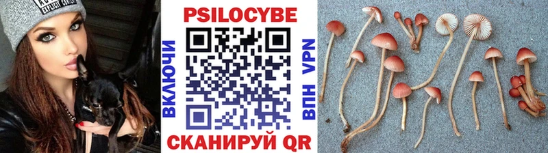 кракен зеркало  как найти   Шали  Псилоцибиновые грибы Magic Shrooms 