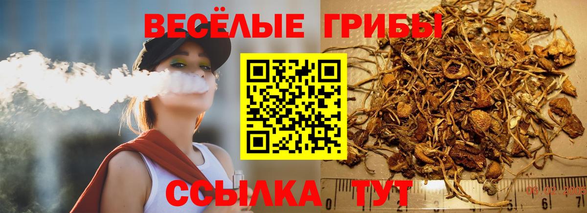 Псилоцибиновые грибы MAGIC MUSHROOMS Шали