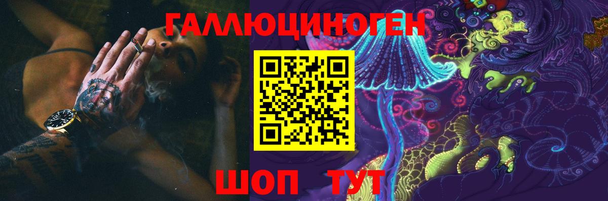 Псилоцибиновые грибы мухоморы  Псилоцибиновые грибы Psilocybine cubensis  Шали  Вход с VPN 