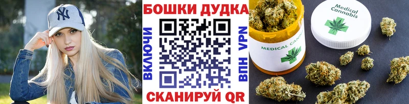 Бошки марихуана SATIVA & INDICA  Шали 